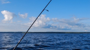 Рыбалка на Онежском озере